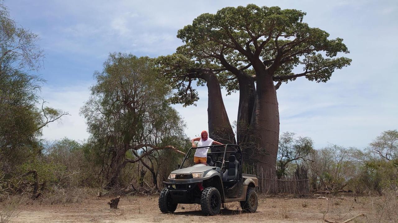 Ecolodge du menabe Belo Eksteriør billede